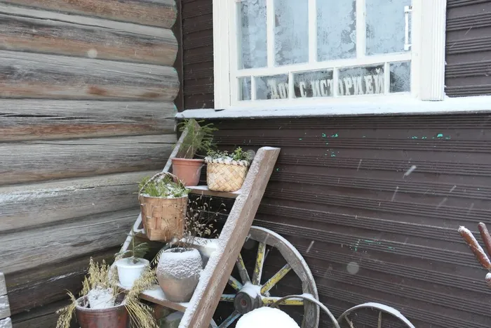 дом с историей 1 (1)